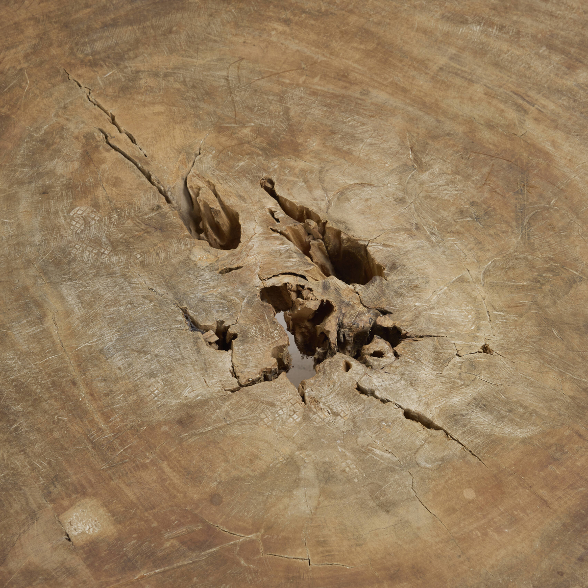 Carved Pequi Wood Coffee Table