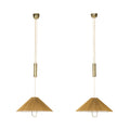 Pair of Counterbalance Hanging Lamps