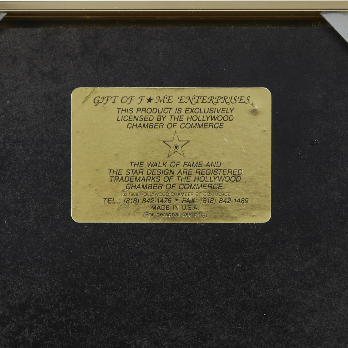 Raquel Welch Hollywood Walk of Fame Plaque