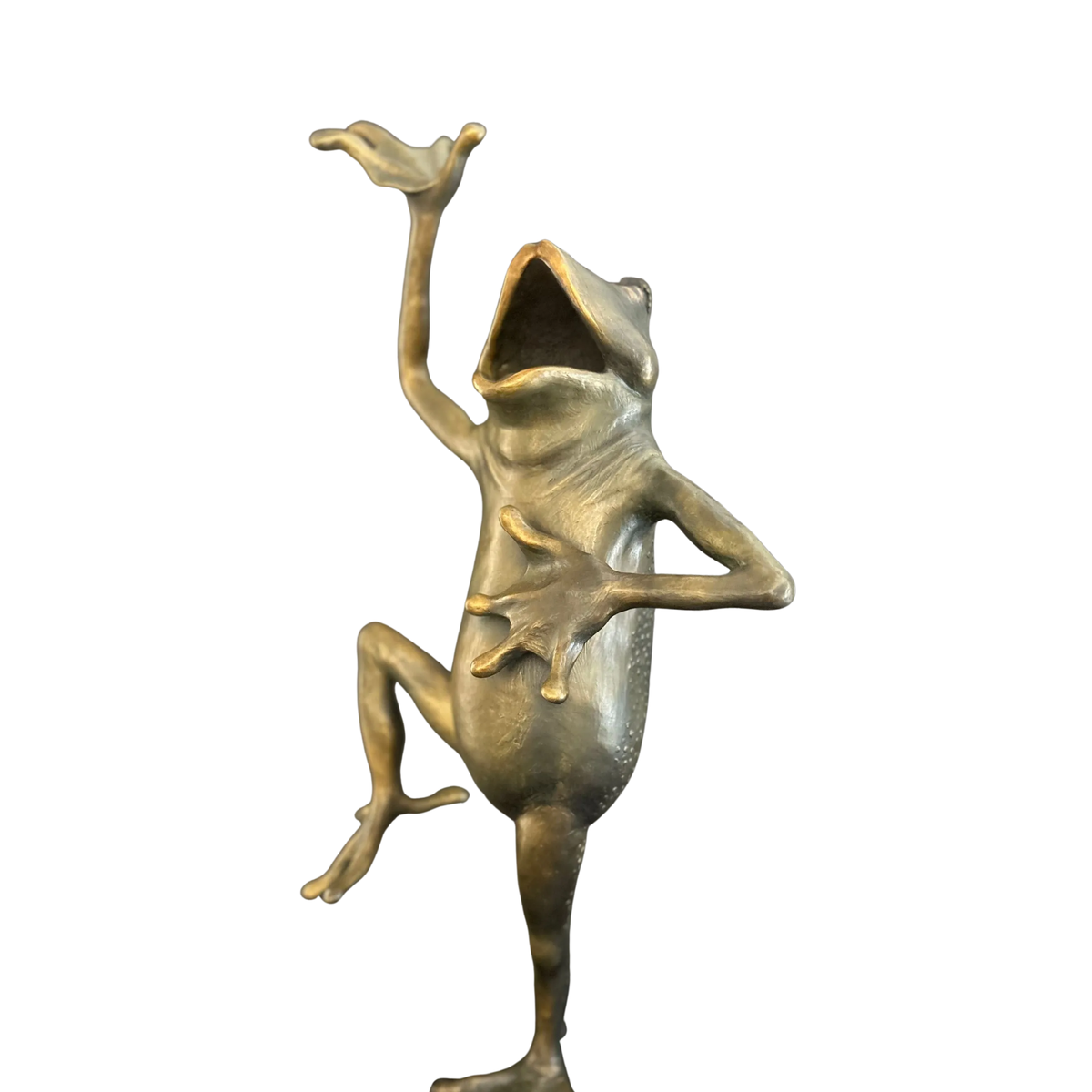 Tree Frog Party