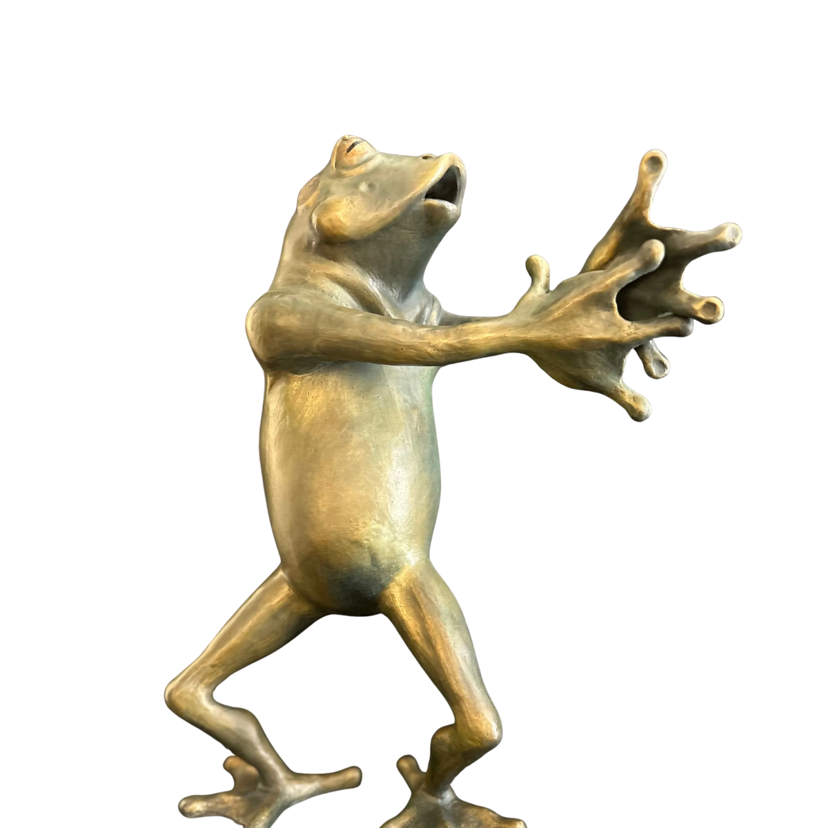 Tree Frog Party