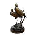 The Godwits